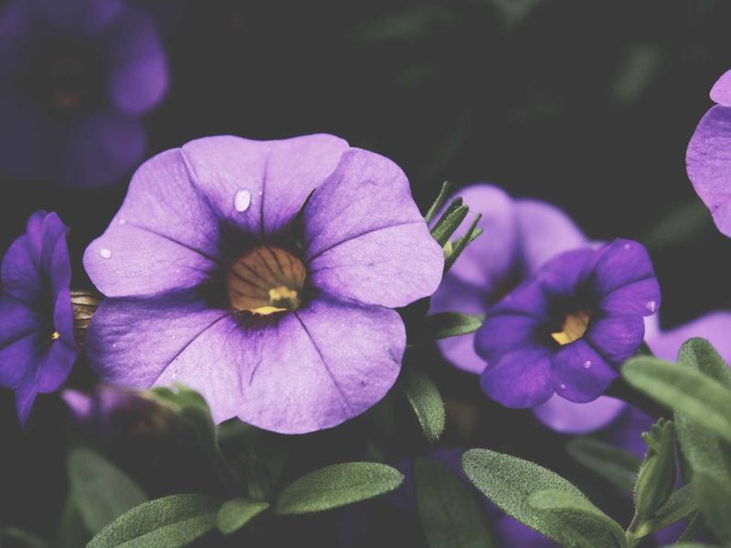 sudoku cloud sync screenshot 2