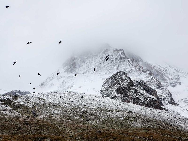 sudoku cloud sync screenshot 4
